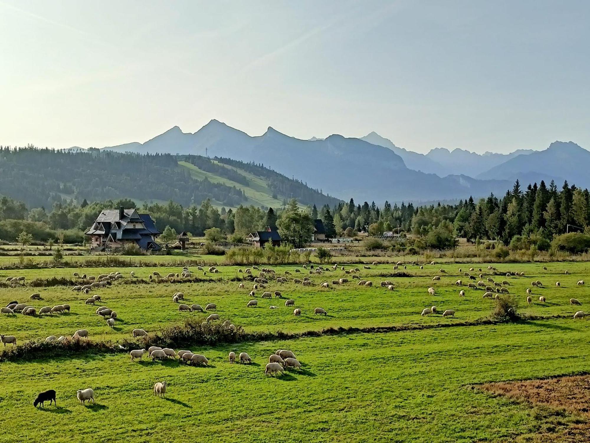 Domek Z Goralska Dusza Sleboda Jurgów Extérieur photo